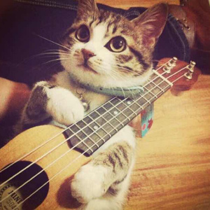 黄色疯狂玩大奶头玩大鸡巴强奸小鸡巴玩女人
